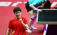 国乒教父为樊振东出头：咱们花纳税人钱为国争光，却被WTT控制了