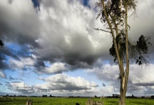 2025英雄联盟全球总决賽(sài)开启，多家院线将直播賽(sài)事