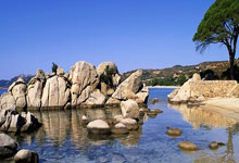 21個(gè)一等奖！长沙“數(shù)据战队”领跑“數(shù)据要素×”大赛湖南分赛